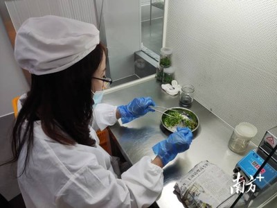 梅州 統籌涉農資金辦大事，南藥產業發展獲生物科技研究強力支撐