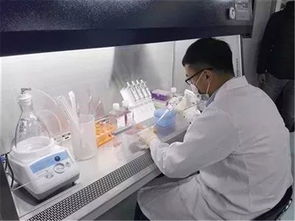 博隆基因 打造國家級基因工程抗體研究中心，助推生物科技研究邁上新臺階